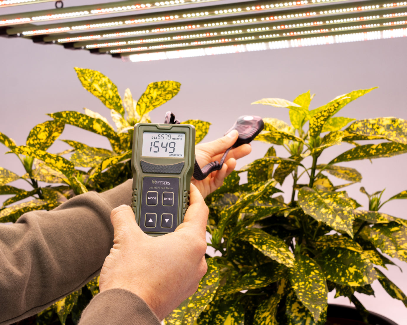 Maximising Yields with Precision Lighting Control