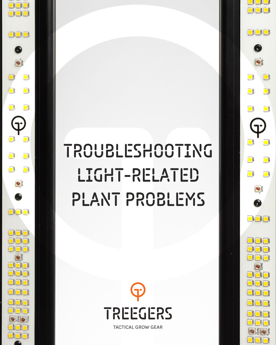 Troubleshooting Light-Related Plant Problems