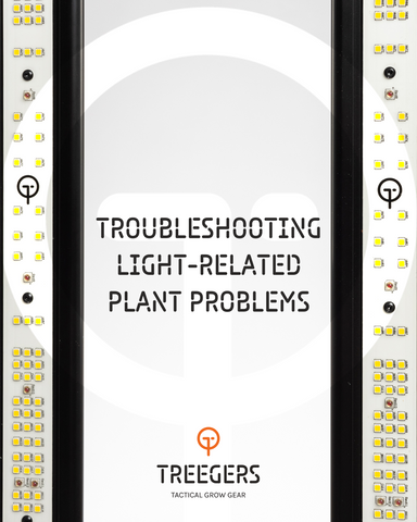 Troubleshooting Light-Related Plant Problems