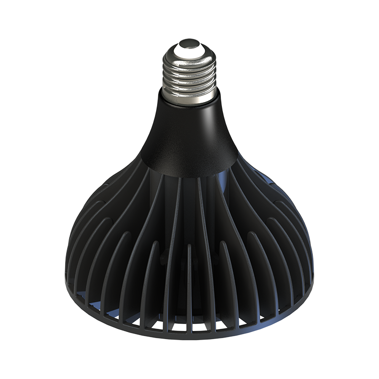 LAMPADINA LED GB30W