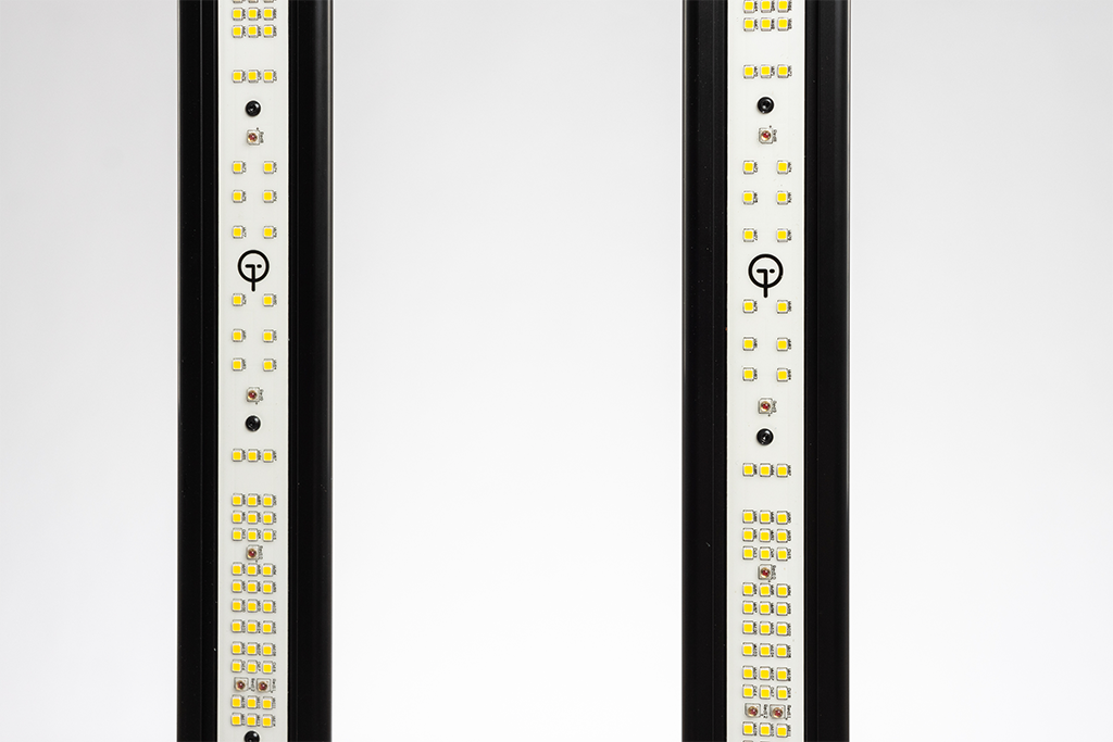 GL300W LED CRECE EL FIXTURE